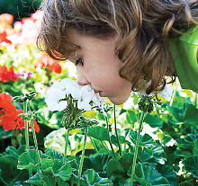 Photo: Child sniffing flower