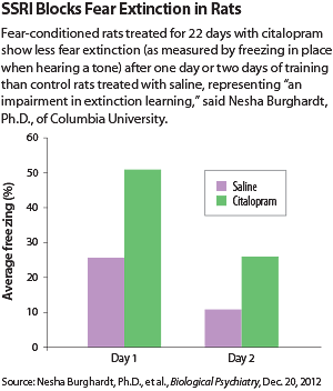 Graph: Chronic use of an SSRI delays fear extinction in rats.