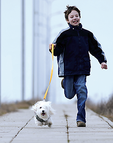 Photo: Boy and dog