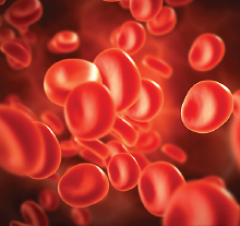 Graphic: Blood cells