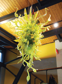 Photo: The Nepenthes Chandelier at Atlanta Botanical Garden
