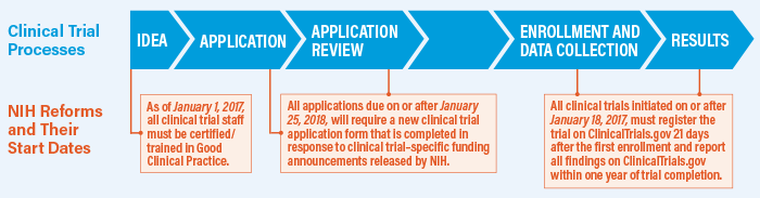 Chart: Clinical trial processes