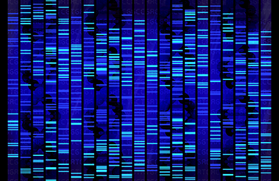 Photo: image of gene sequence