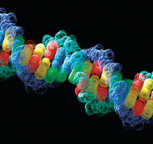 Photo: DNA