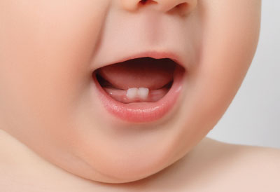 Photo: baby teeth