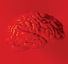 Photo: red brain