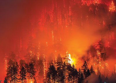 Photo: wildfire
