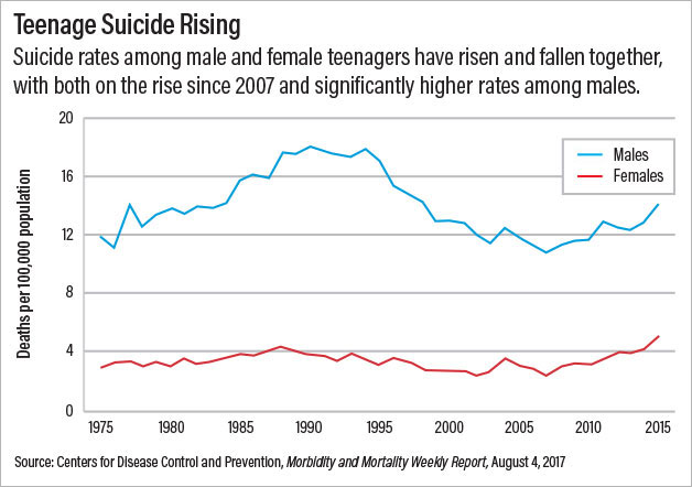 Photo: Teenage Suicide Rising: Suicide rate among make and female teenageres have risen and fallen together, with both on the rise since 2007 and significantly higher rates among males.