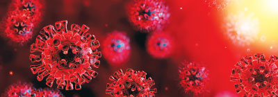 Photo: corona virus cells