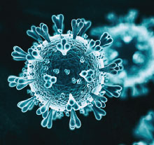Photo: COVID-19 virus