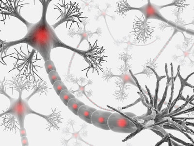 Graphic: Neuronal connections