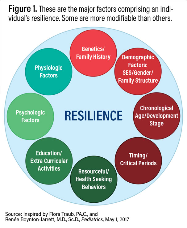 Figure 1: These are the major factors comprising an individual's reseliance. Some are more modifiable than others.