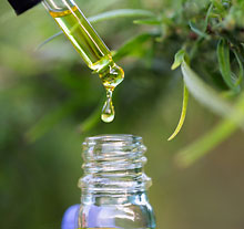 Photo: Pipette dropping some cannabis oil in a small bottle
