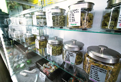 Photo: Glass jars on shelves containing different type of cannabis