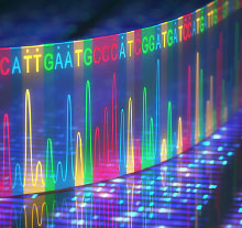 Graphic: genomes part of a DNA sequence
