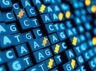 Photo: DNA sequences