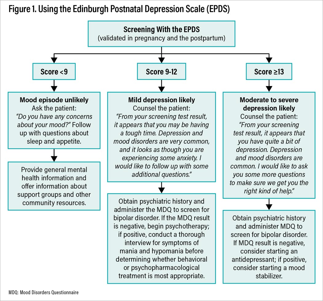 Figure 1: Using the Edinburgh Postnatal Depression Scale (EPDS)