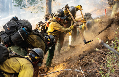 Photo: firefirghters attacking a brushfire