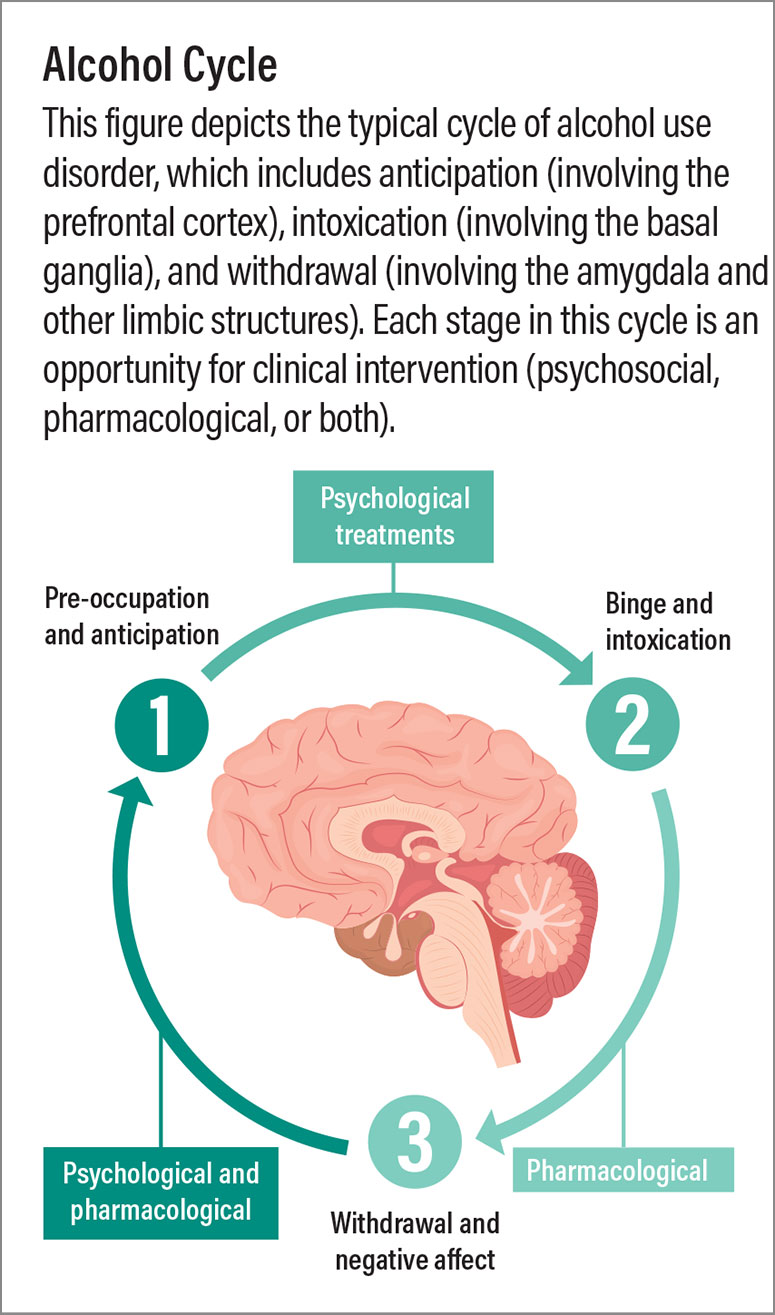 This figure depicts the typical cycle of alcohol use disorder, which includes anticipation (involving the prefrontal cortex), intoxication (involving the basal ganglia), and withdrawal (involving the amygdala and other limbic structures). Each stage in this cycle is an opportunity for clinical intervention (psychosocial, pharmacological, or both).