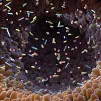 3D illustration of microscopic bacteria in an intestine